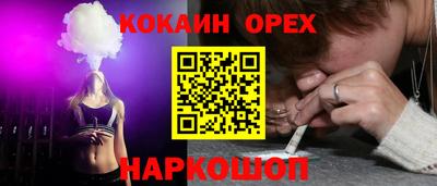дживик Можга