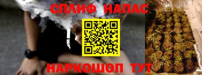 дживик Можга