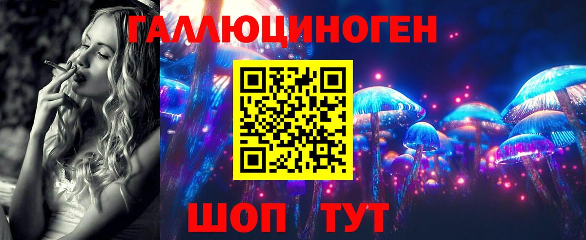 Псилоцибиновые грибы Magic Shrooms  Вход с VPN  Псилоцибиновые грибы Magic Shrooms  Свободный 