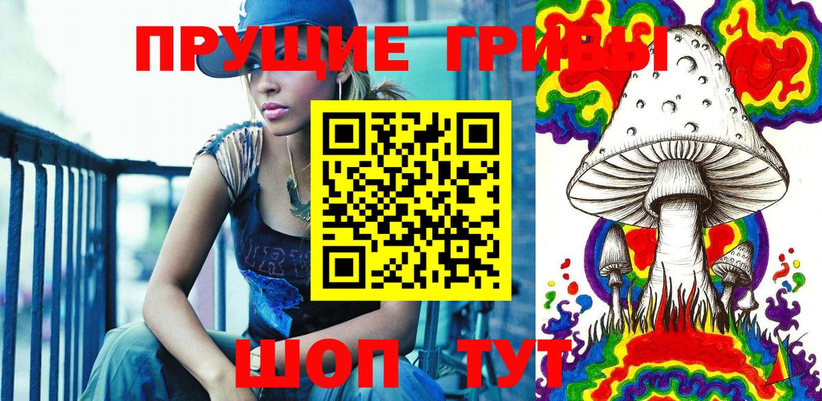 Псилоцибиновые грибы мицелий Свободный